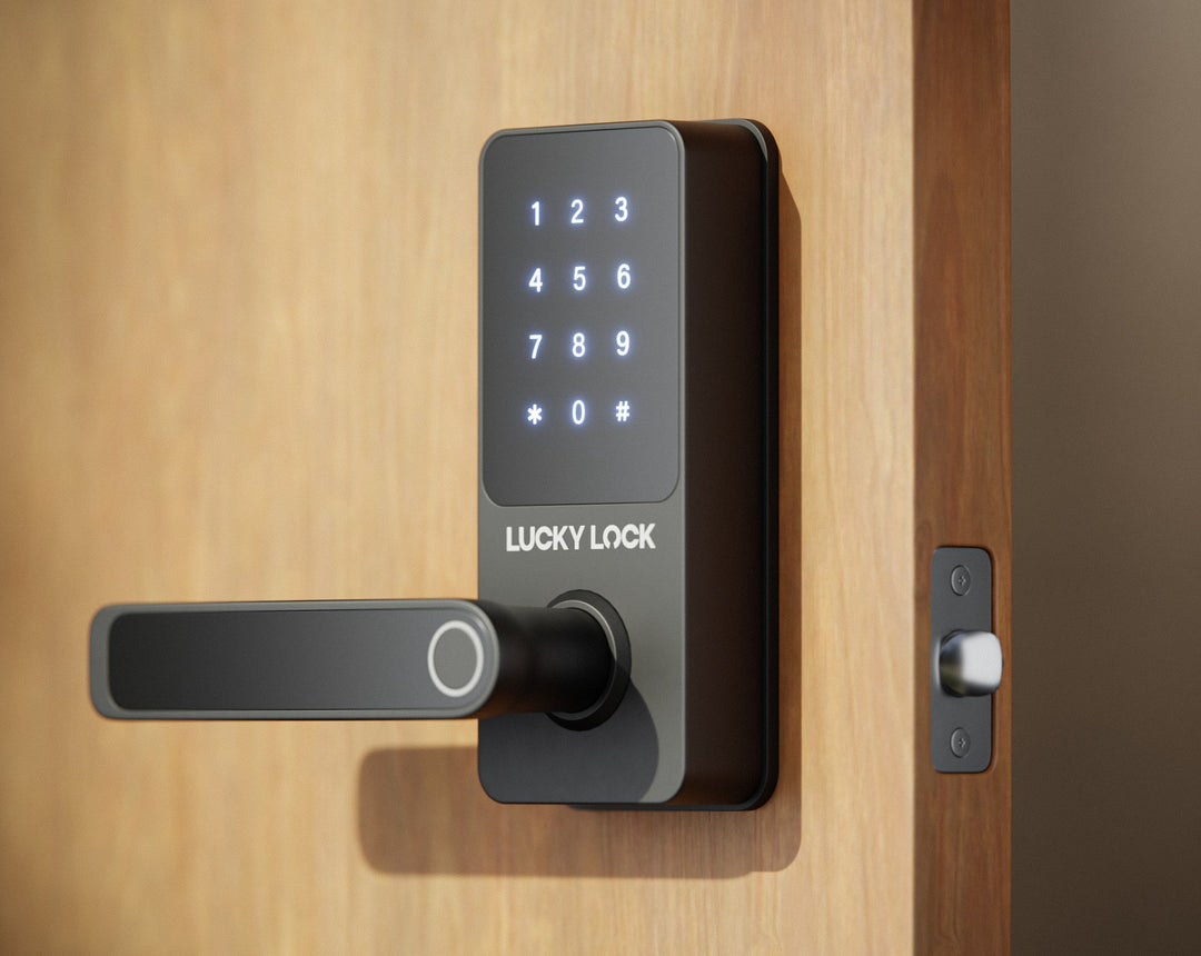 Fingerprint Smart Lock Ease L1