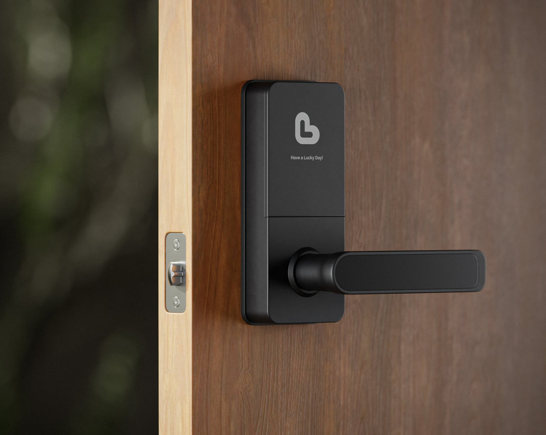 Fingerprint Smart Lock Ease L1