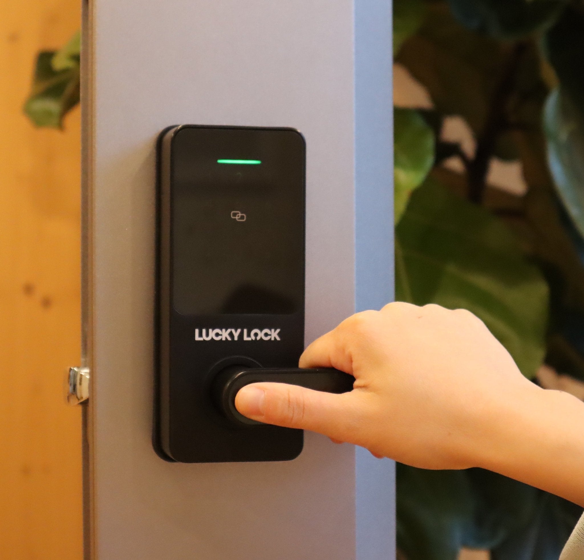 Lucky Lock Fingerprint Smart Lock Ease L1 - LuckyLock