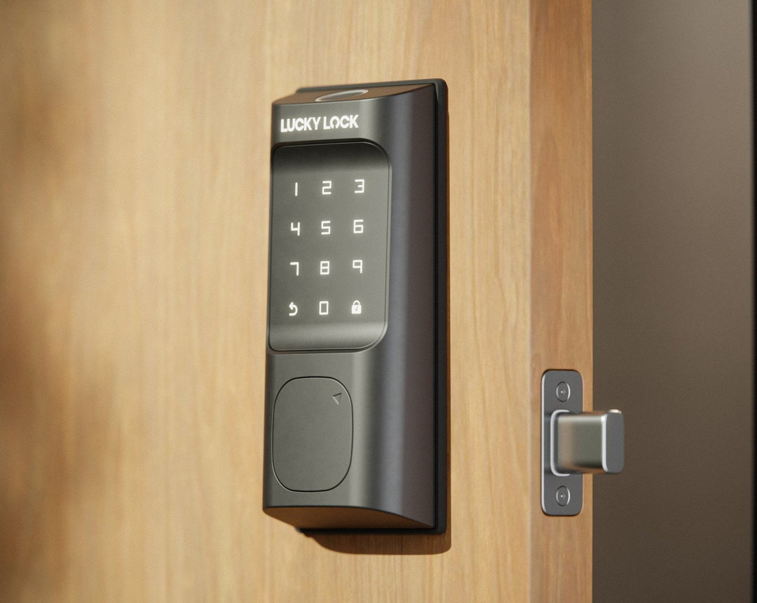 Lucky Lock Fingerprint Smart Lock Touch D1 - LuckyLock